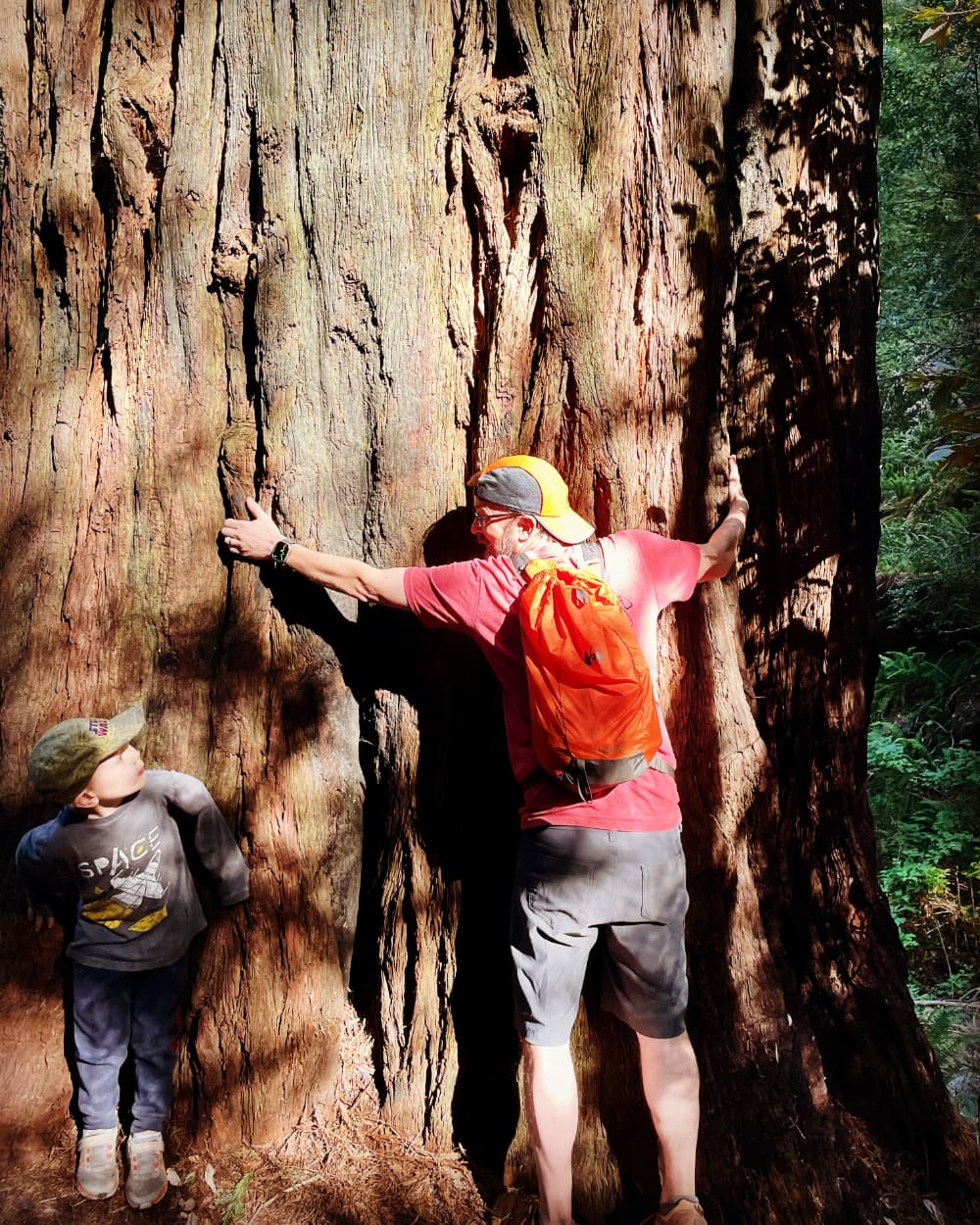 Tree Hug, Oregon Coast